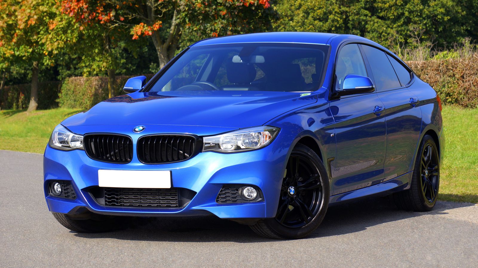 Blue BMW driving on a scenic road